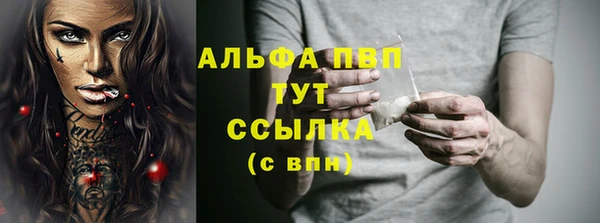 apvp Новозыбков