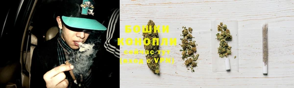 apvp Новозыбков