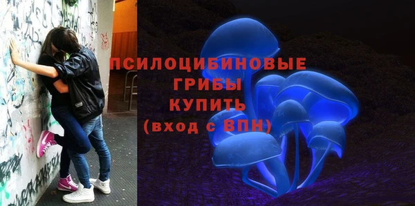 твердый Новокубанск